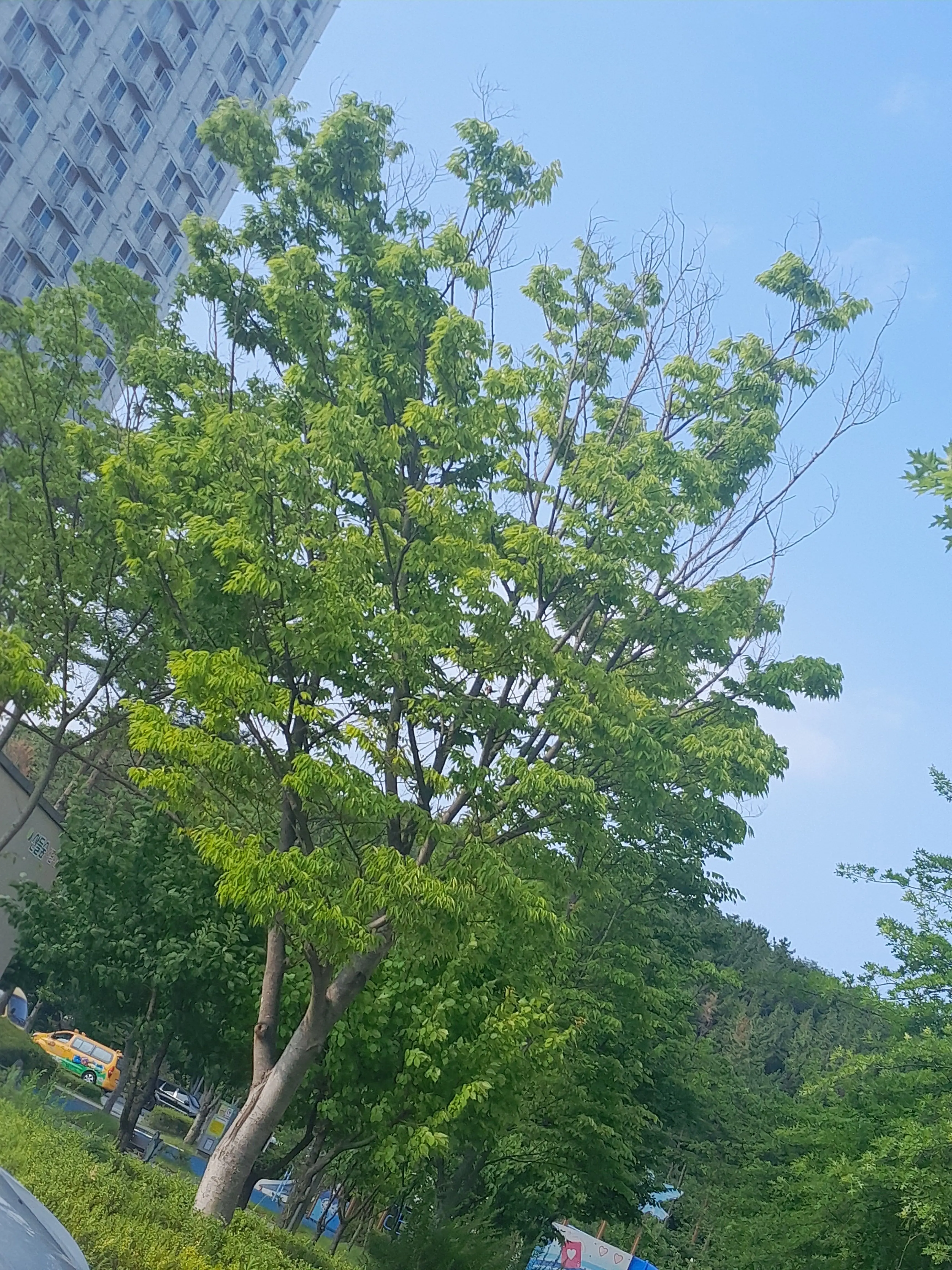 GrassyFlag9407의 이게 바로 사랑의 머리끈이시다아-!