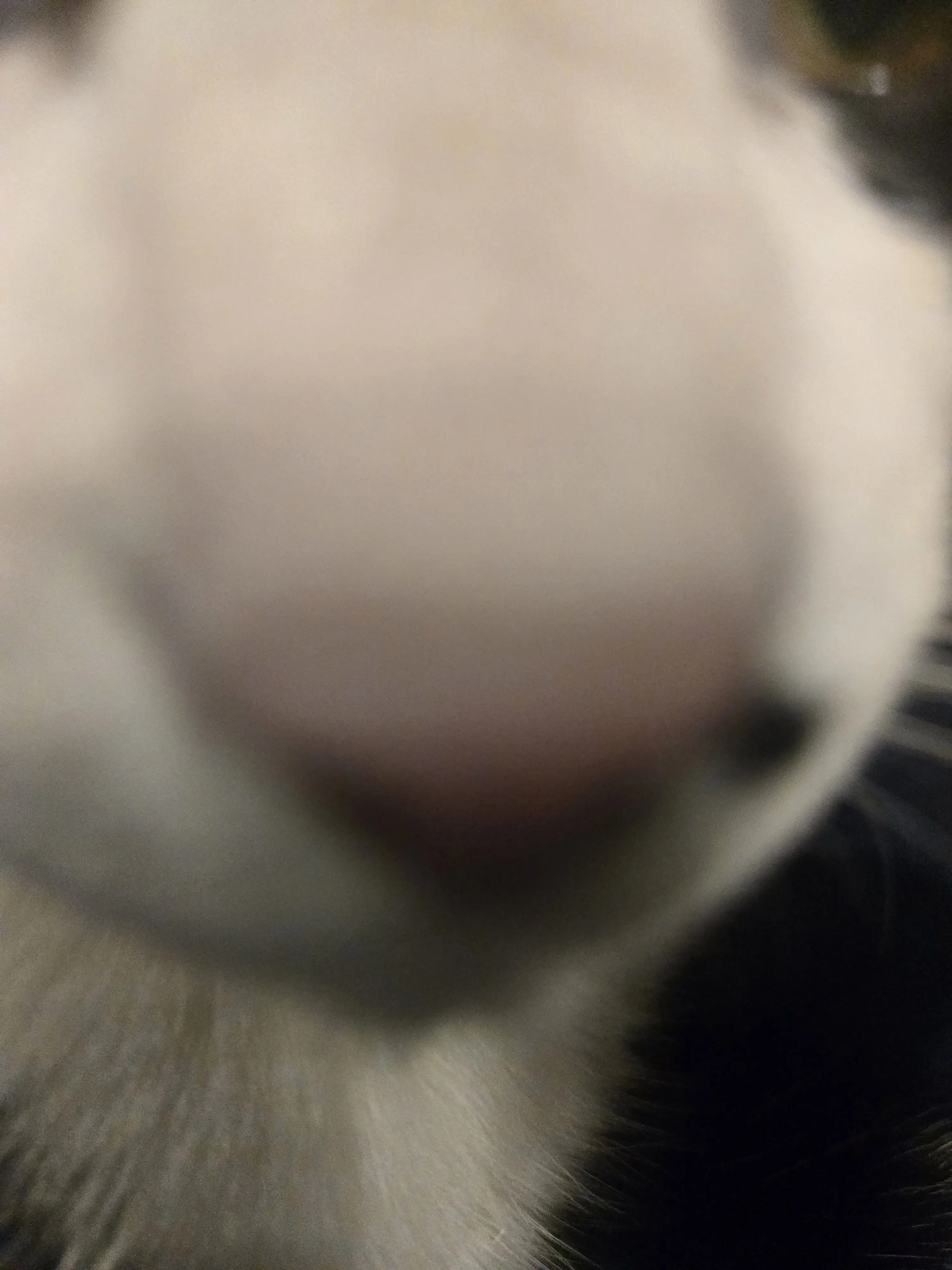 NarrowHair9594의 무는게 습관인 남친ㅠㅠㅠ