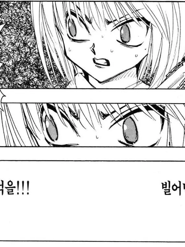 hunter-x-hunter의 환영여단의 무한번째 목표