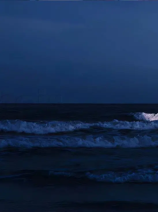 SGO__의 상처 위로 아가미들이 돋아난다.