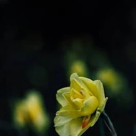 헤...안녕, 나 좀 숨겨줄래..?