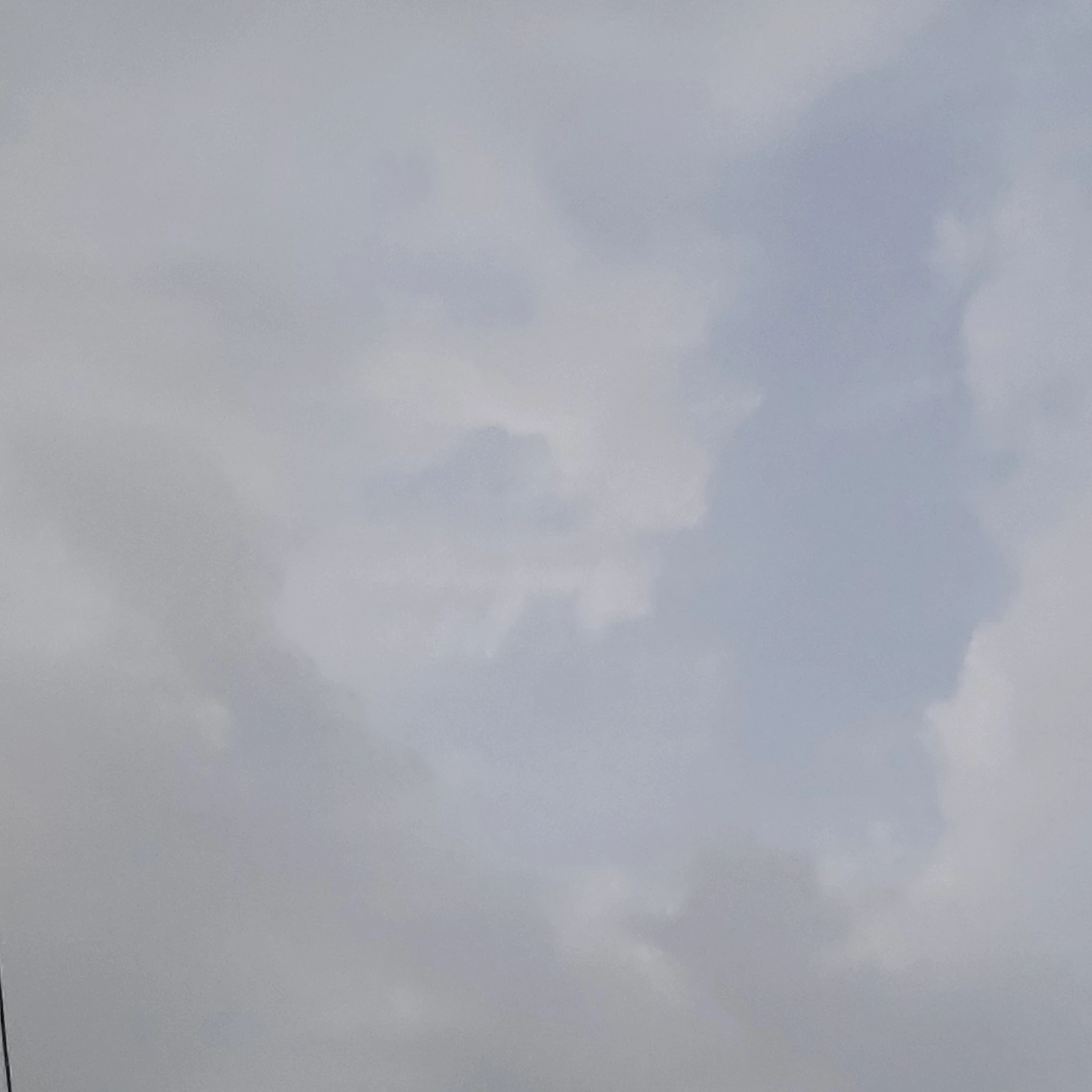 오징어게임
