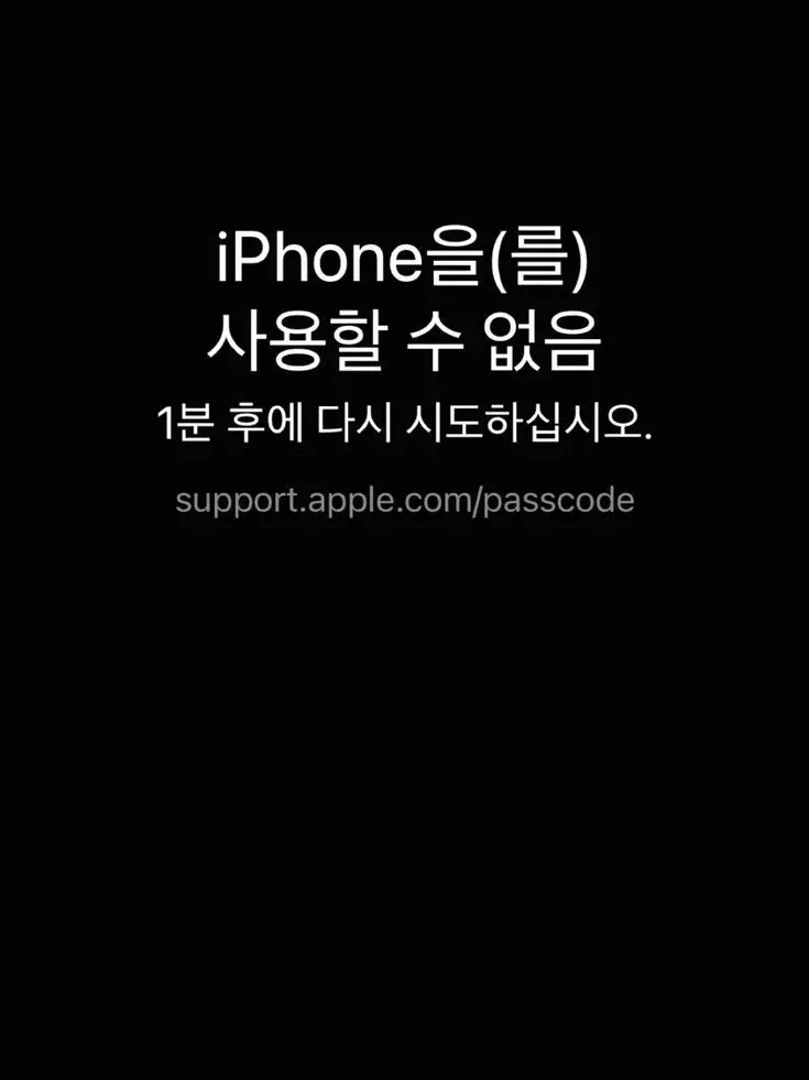 RoughEmber2243의 전학 왔는데 얘가 왜 이럴까?