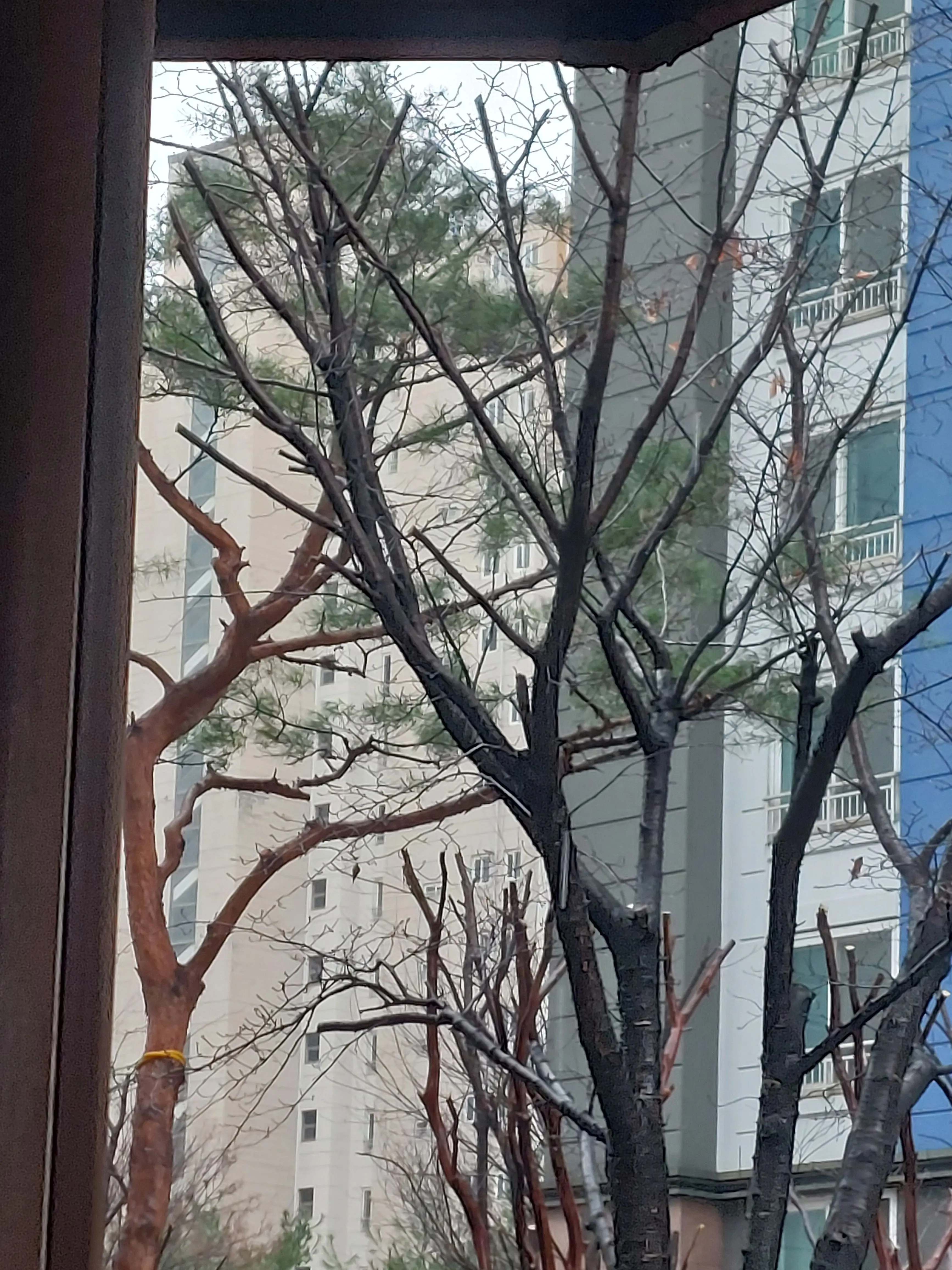 badluck의 당신은 과부화에 걸렸습니다.