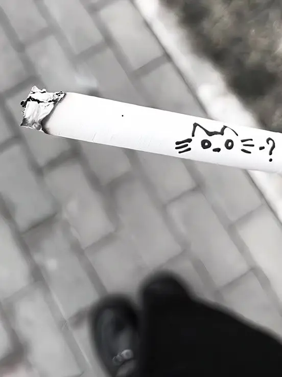 Py_의 러트가 와버렸다.
