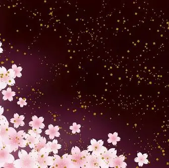 VapidPhoto0129의 春の行方