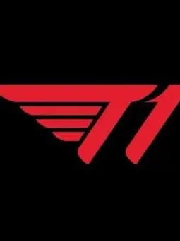 TidyFan2909의 T1중