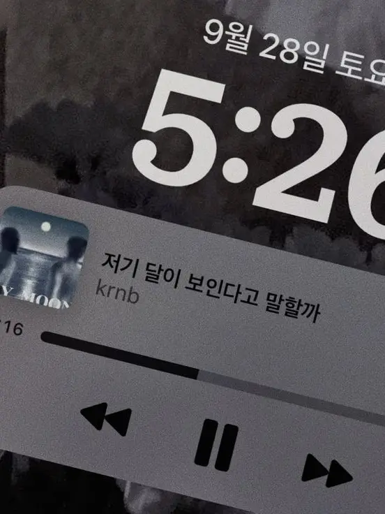 40119의 저기 달이 보인다고 말할까.