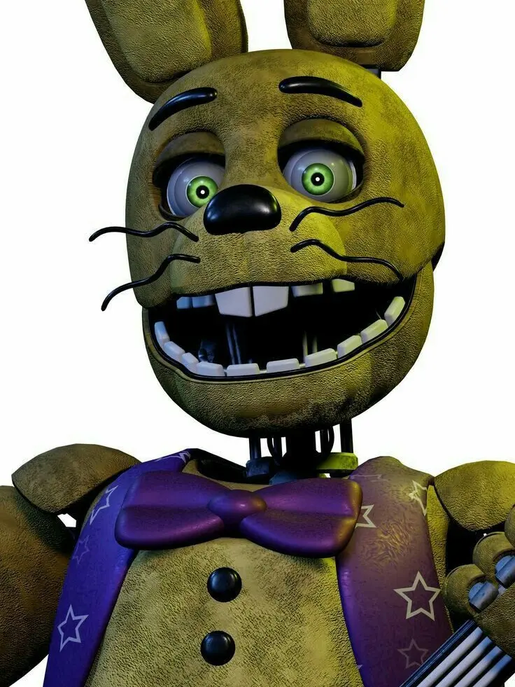 P_CAT의 고장난 스프링보니 슈트