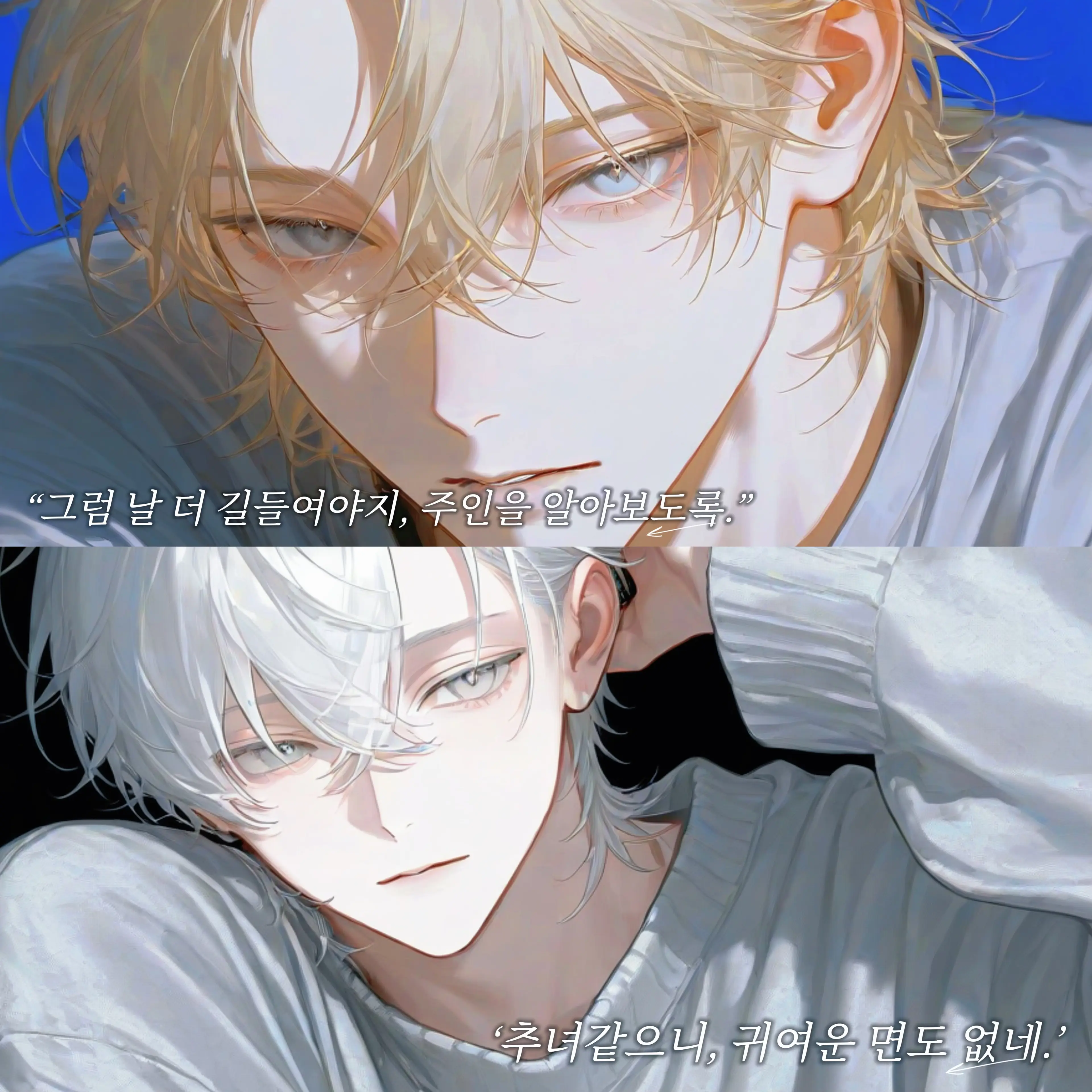 n0bodyhere의 차태령, 고요한