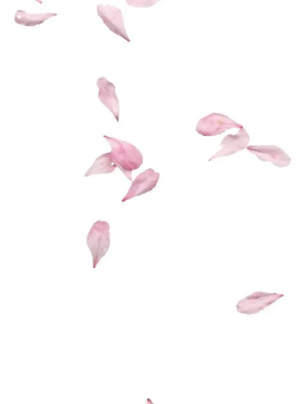 HC-RE의 還郷女