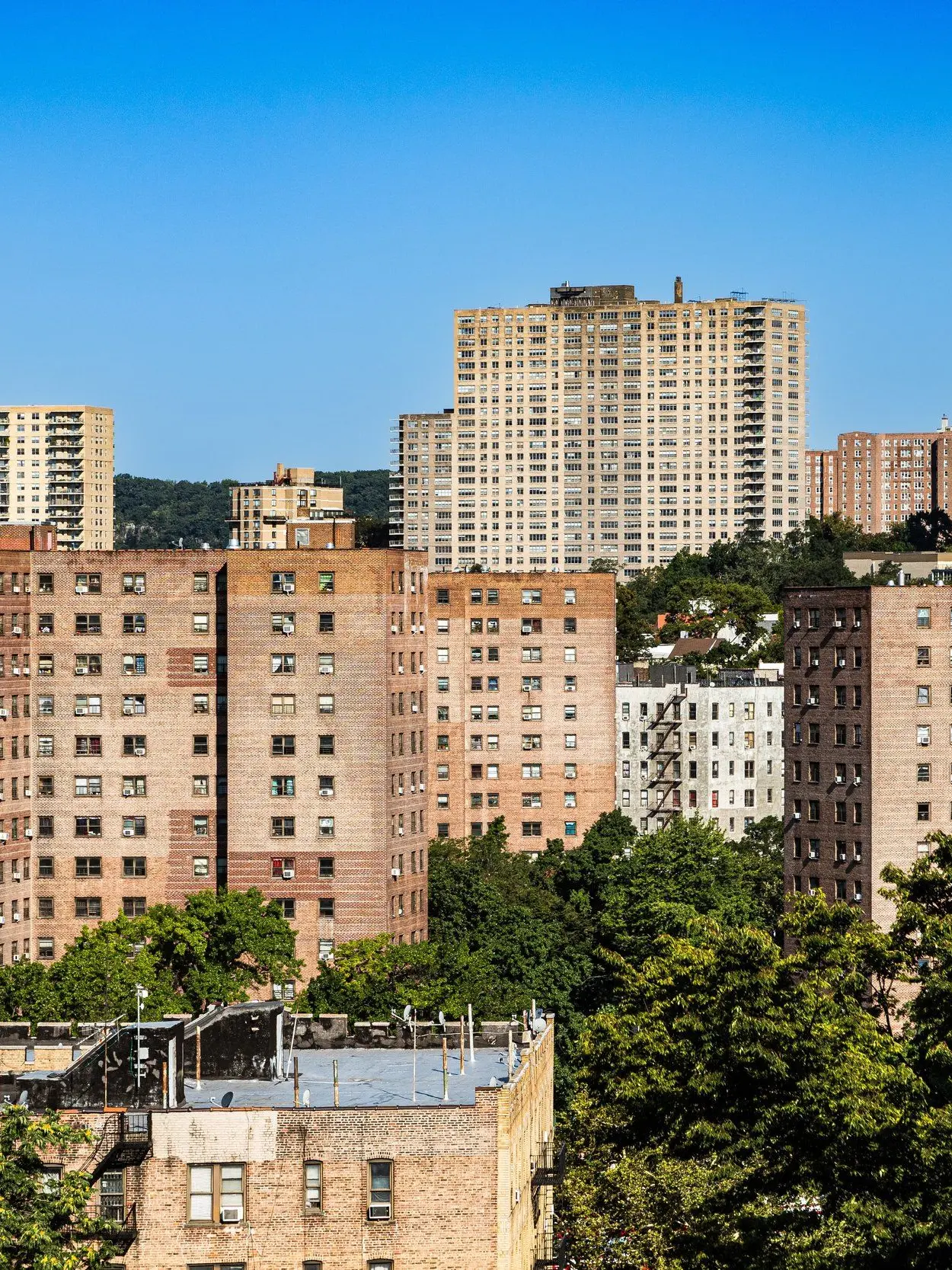 AstuteScale1637의 The Bronx (Hood)