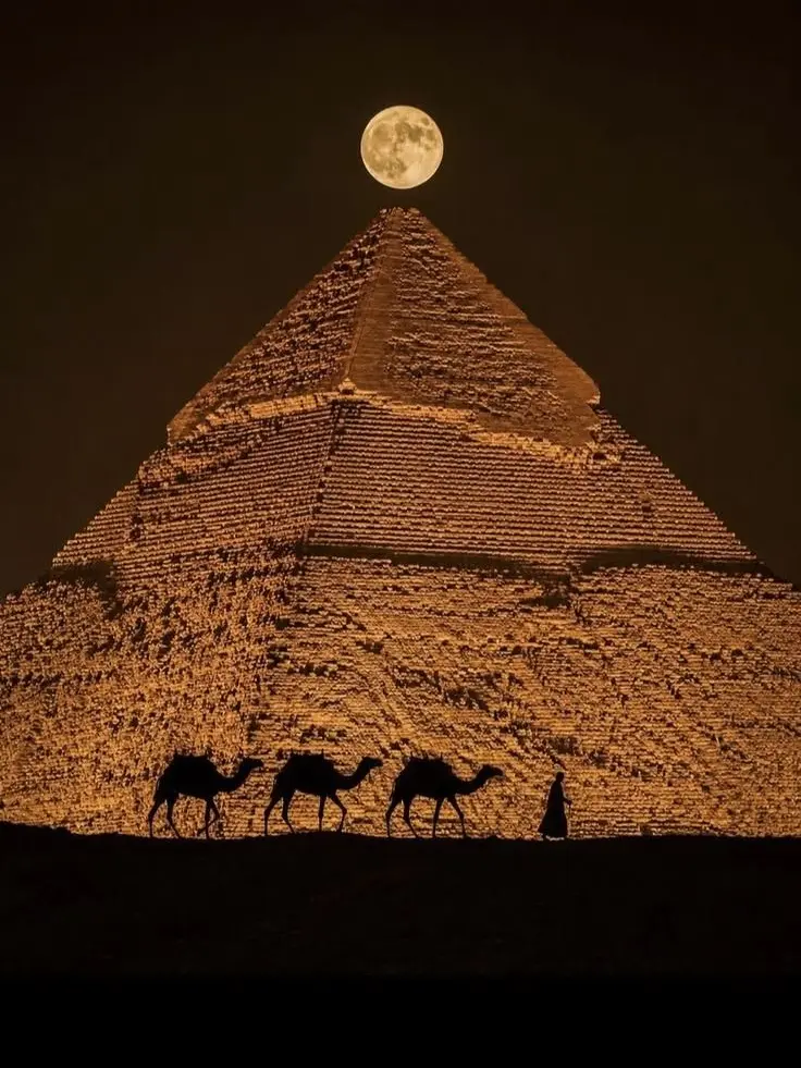 TacitTetra1424의 مصر(이집트)