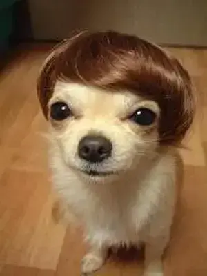 NiceMudi8333의 あなたは人形になってしまいました。