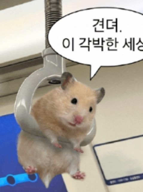 포세이큰 다오데 동거??(+늑대) 대표 이미지