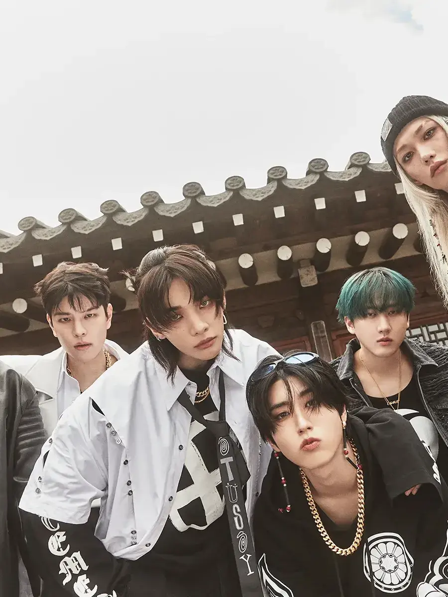 FlimsySable9721의 Stray kids surprise