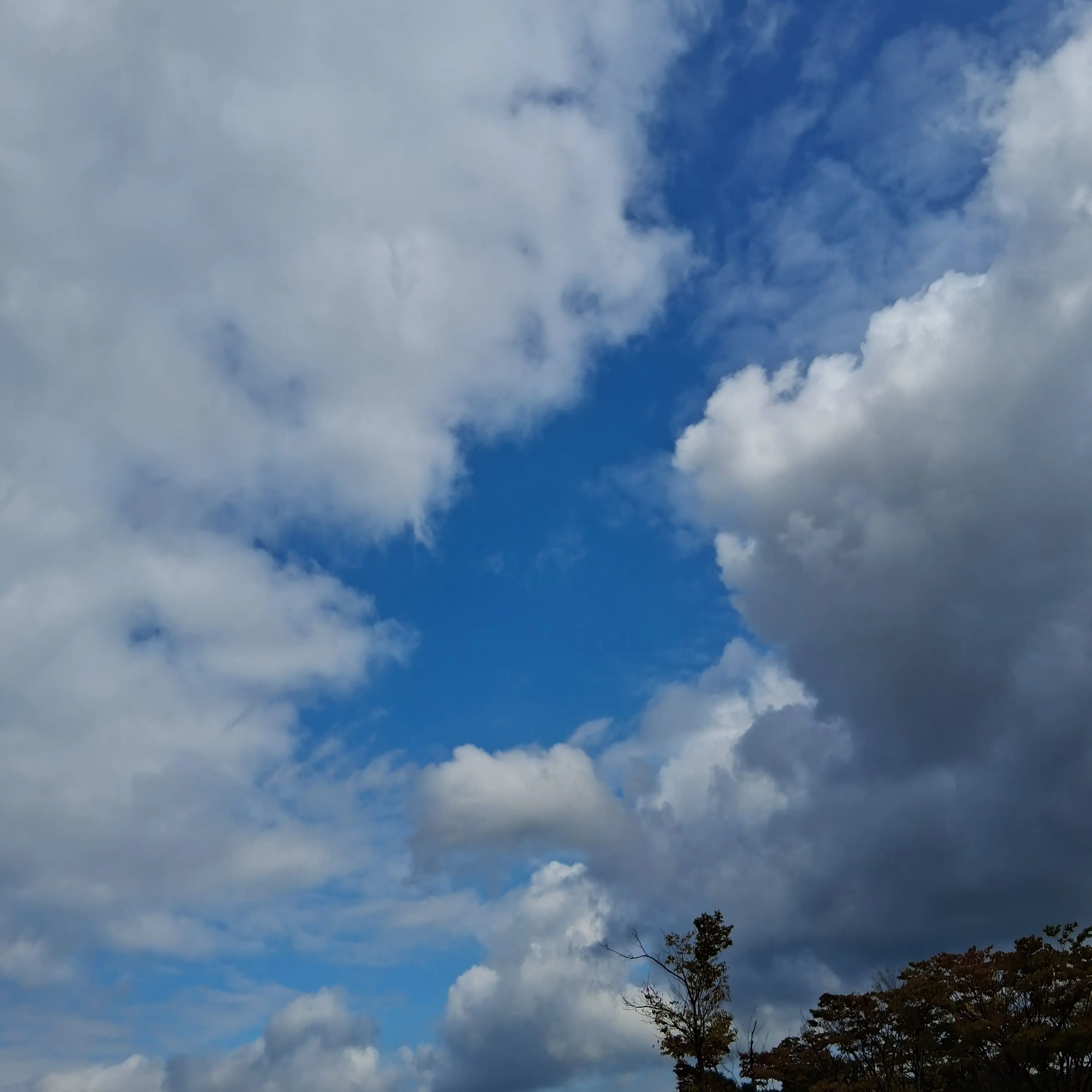 SleazyVoice1614의 꺄아ㅏ [user]이 때렸어!~