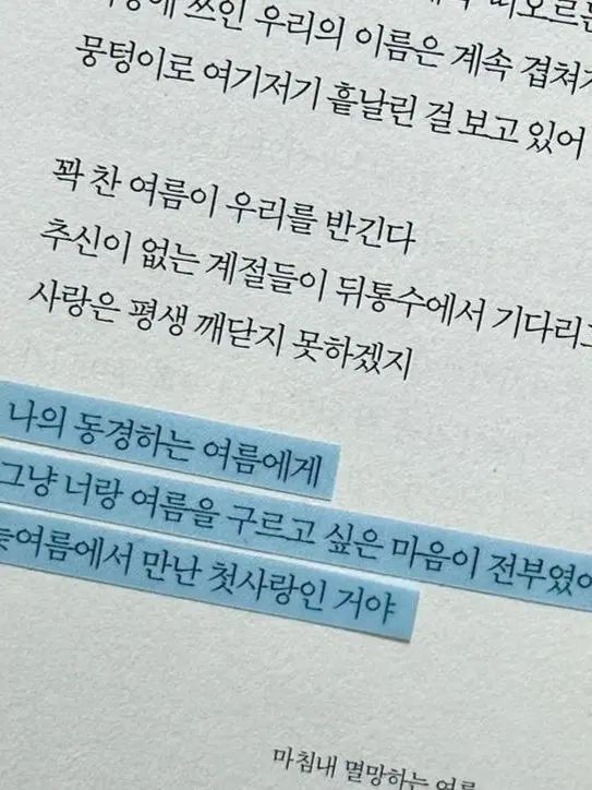 moon_dream의 나의 동경하는 여름에게