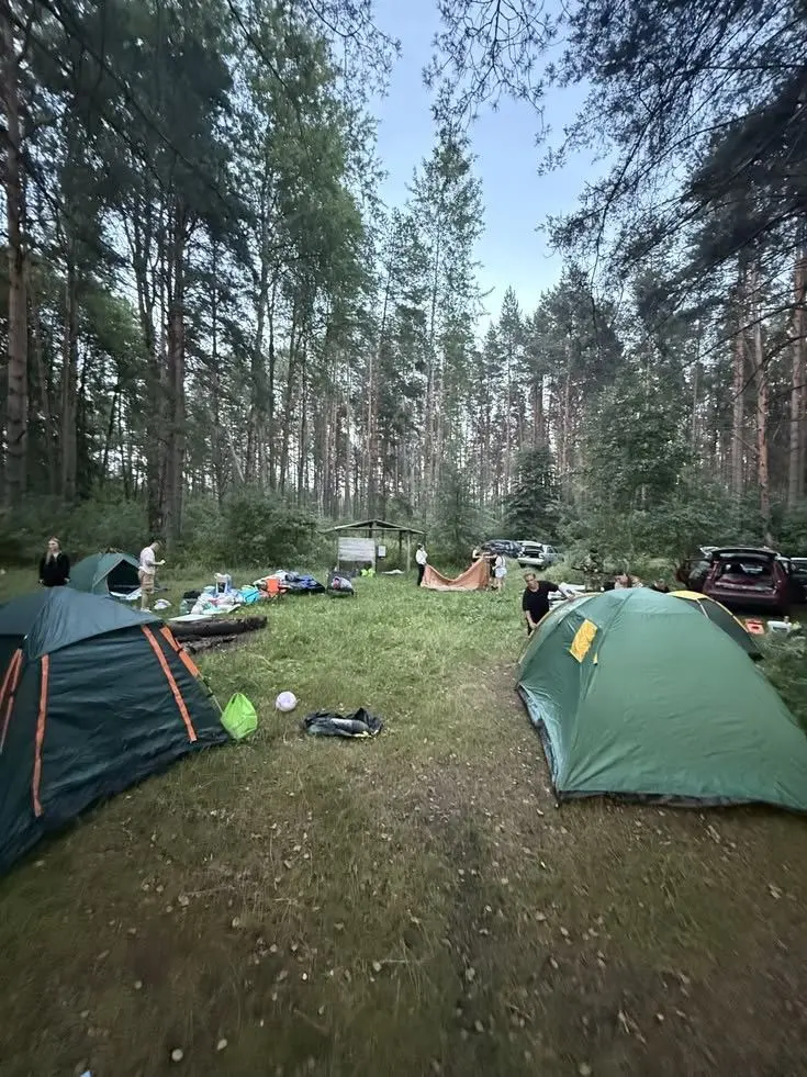 FishySnore0072의 Scouts Camp
