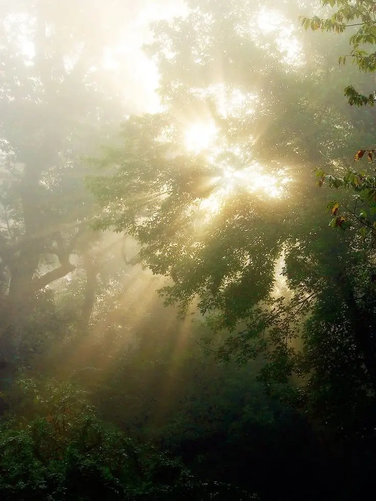 Come_to_me_plz의 떨어진 곳에 낙원은 없댔는데