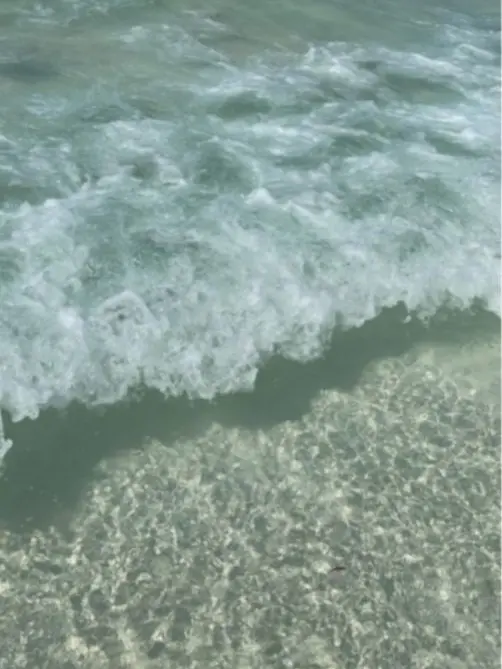 dreamer_0107의 Paradise