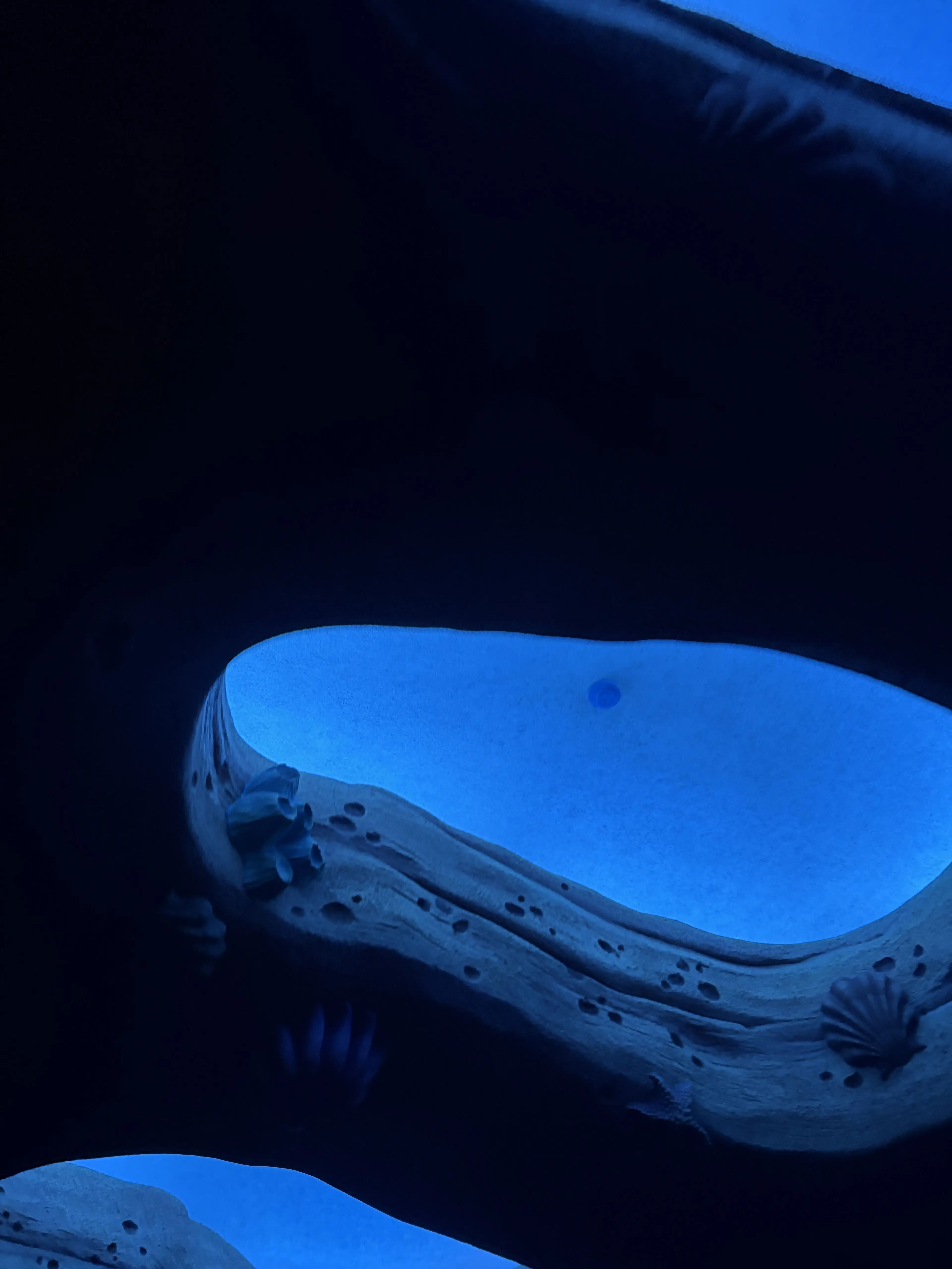 HazyPhoto3989의 君にいいことがあるように。