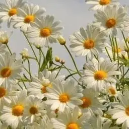 leeyul0의 추억을 파는 상점