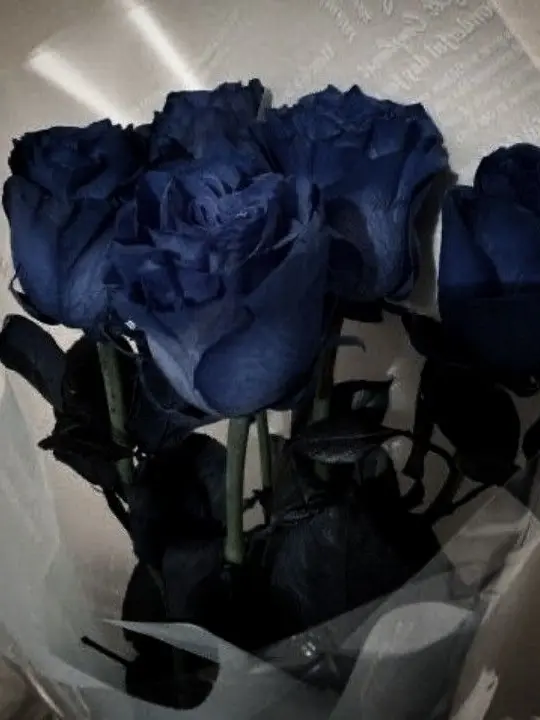 natsukilove722의 평생 킬러 같이 하자며