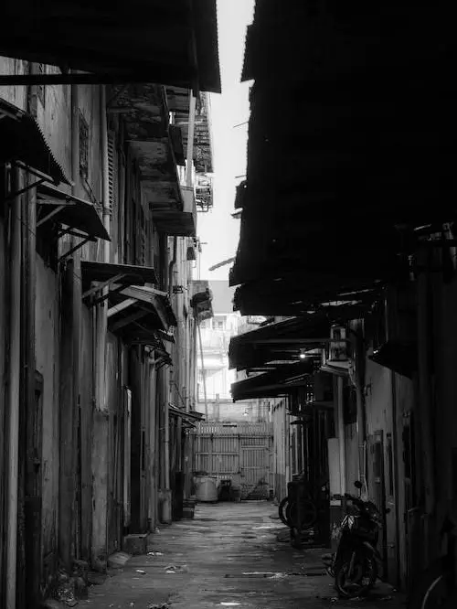 NOlSE의 5:5로 나누라고.