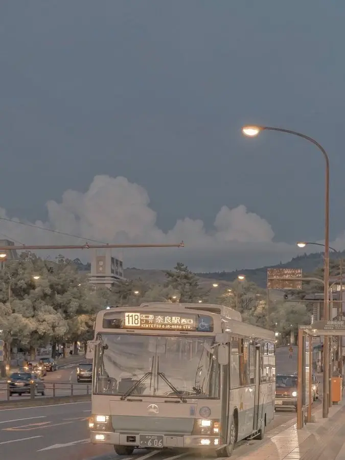 JaggedArrow5960의 황수현 🥕🐰