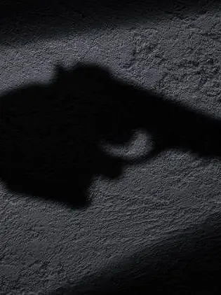 _Gangster의 제미니