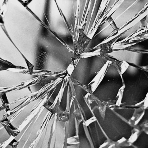 왕따인 라더를 구원하기!