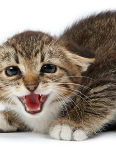 Go away!! 대표 이미지
