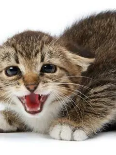 human_의 Go away!!