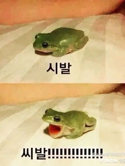 미안 이런 못난이라서.(학폭) 대표 이미지