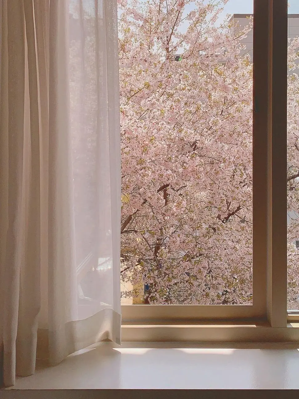 01ilov의 惚れました…