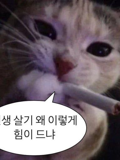 ...개판인 우리병원 대표 이미지