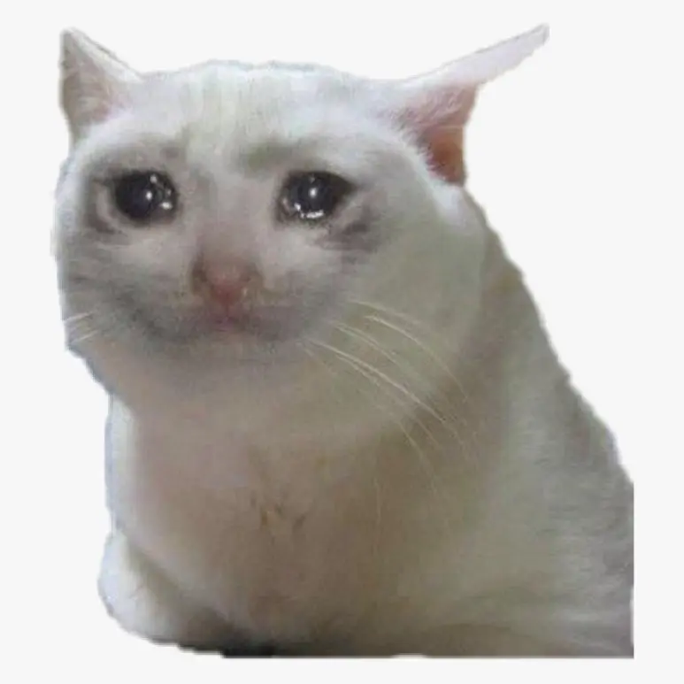 IDK1210의 몰라요