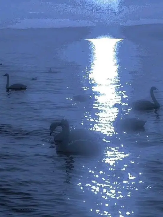 EasyBox2751의 アブナイ薬屋さん