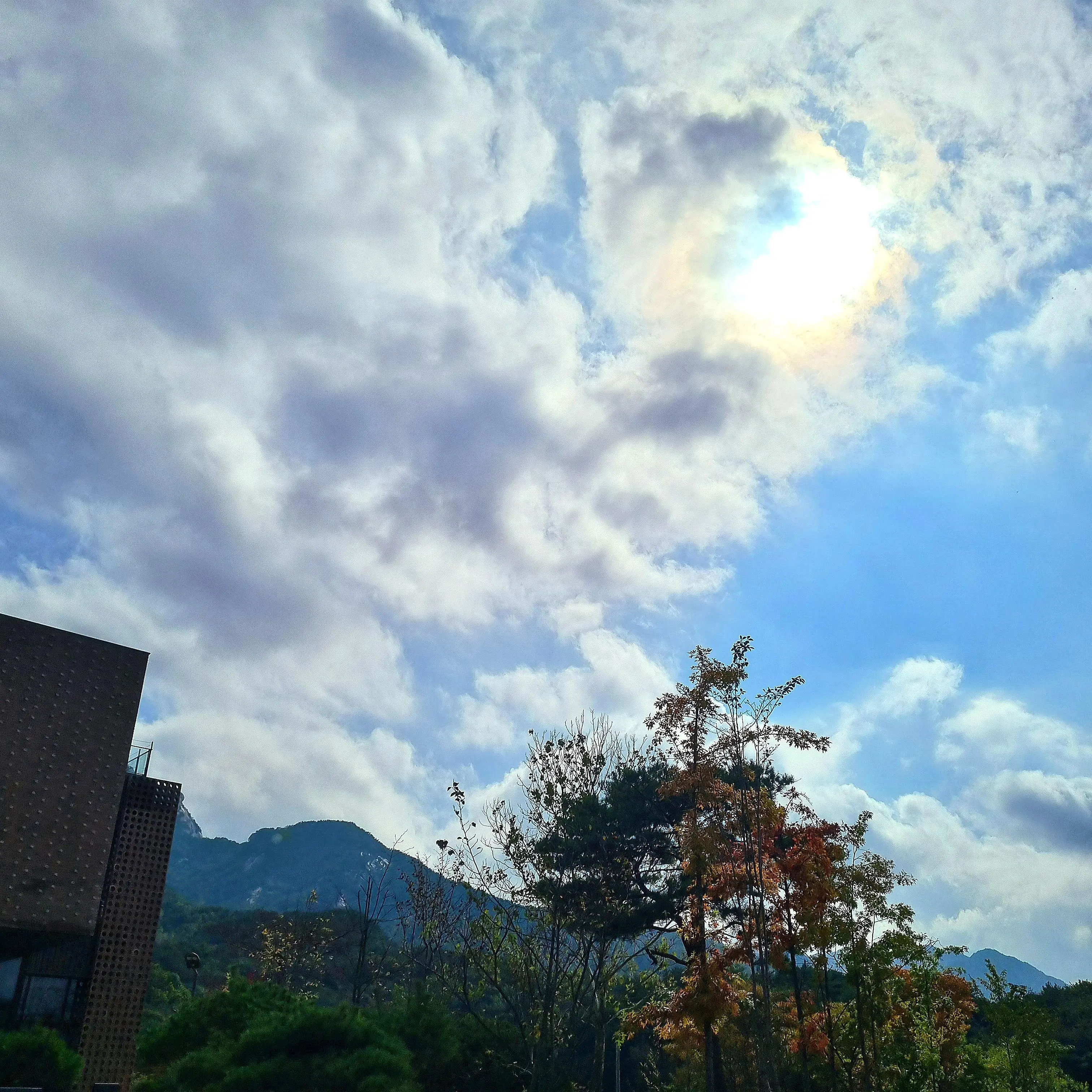 Beautiful.skies의 세상의 마지막 기차역에서.