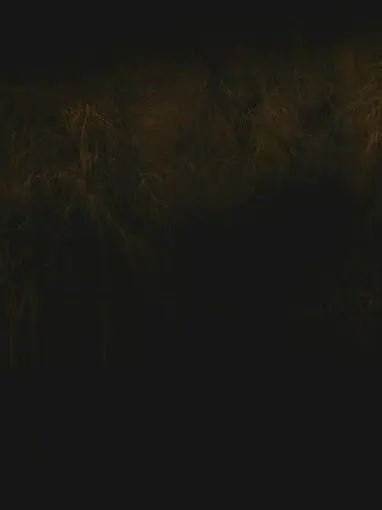 RashOlive1256의 김왼팔과 맴버