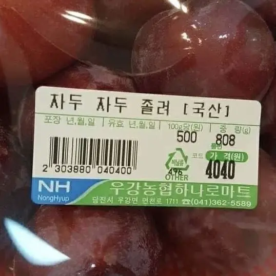 TOMMMATO의 이진성