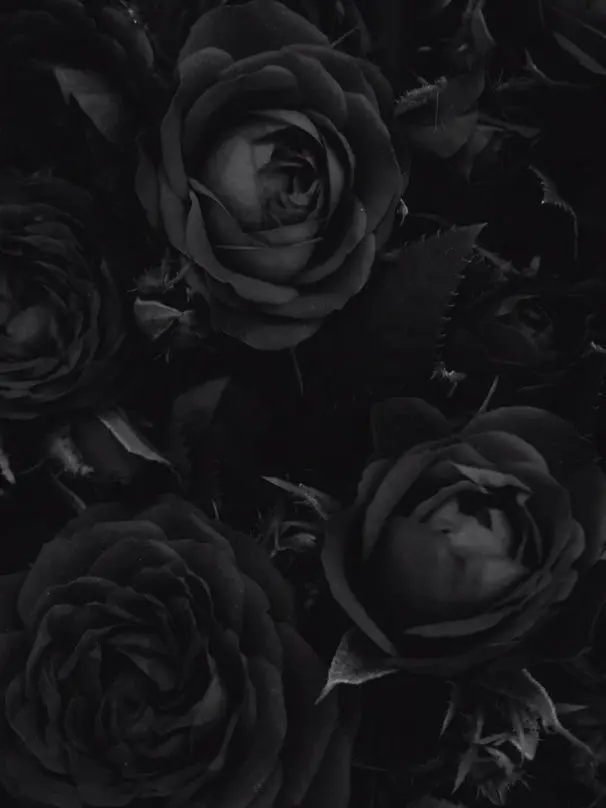 meu_o0의 甘い言葉に惑わされないで