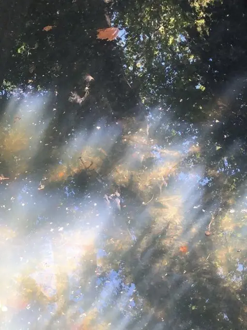 decadent.romantic의 ­­ ­­