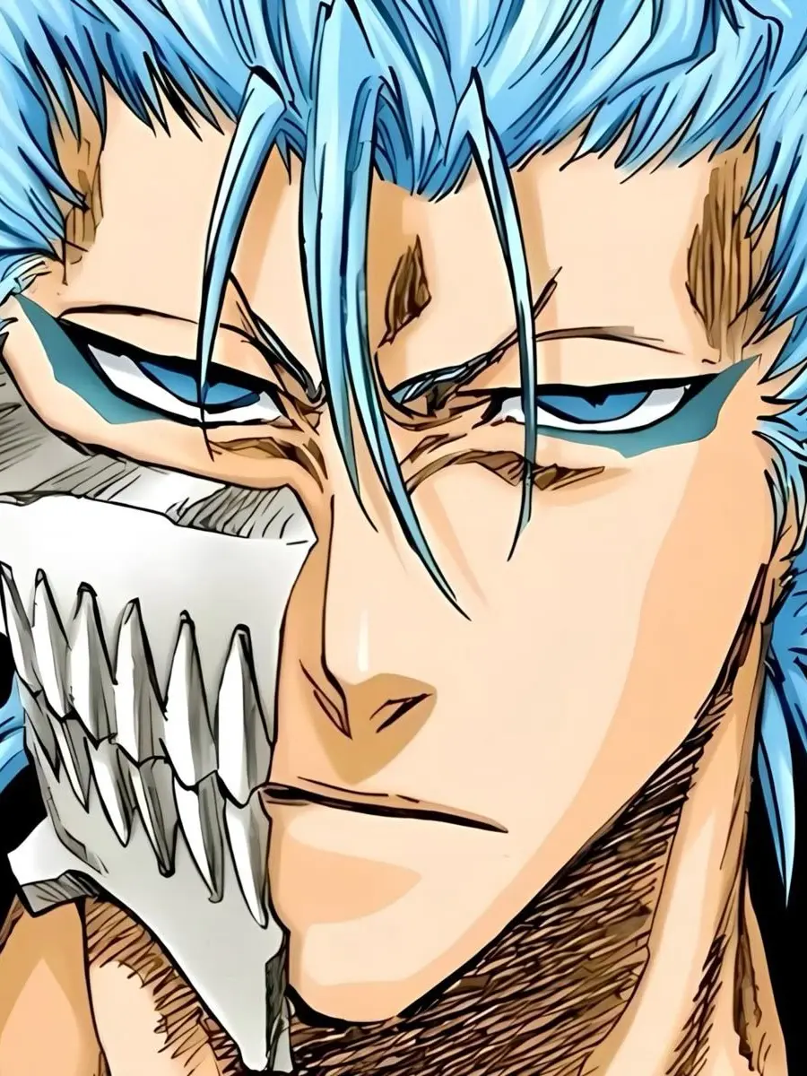 CozyDish6866의 Grimmjow Jaegerjaquez