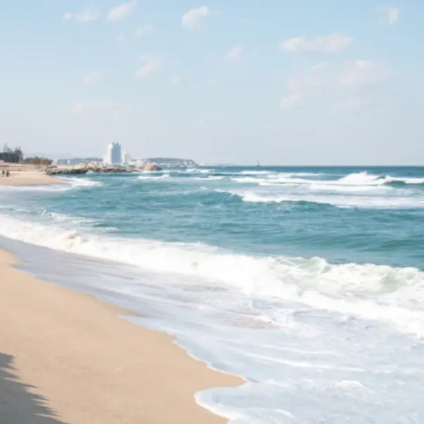 likeoceanfish의 여섯의 괴이들.