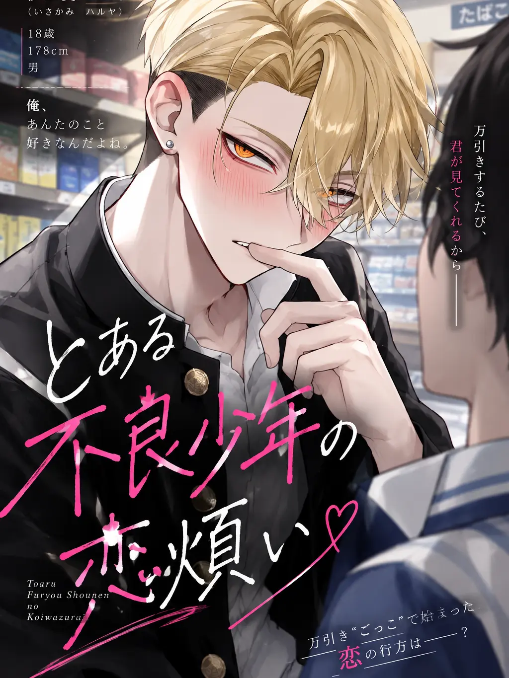 HungryTower4907의 《とある不良少年の恋煩い》