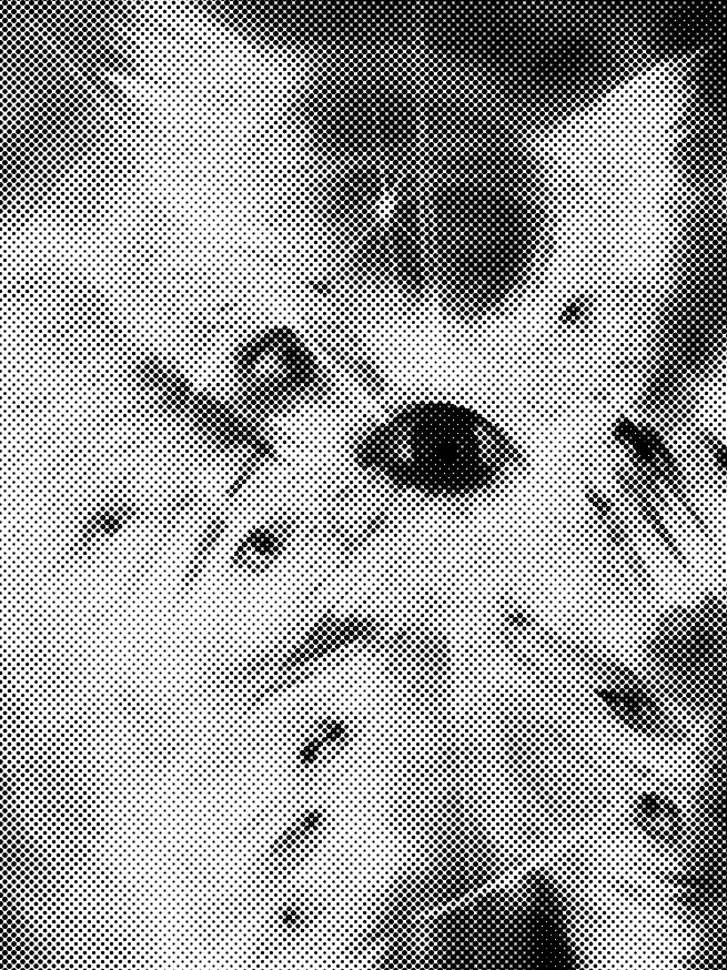 soudainement의 Angel?