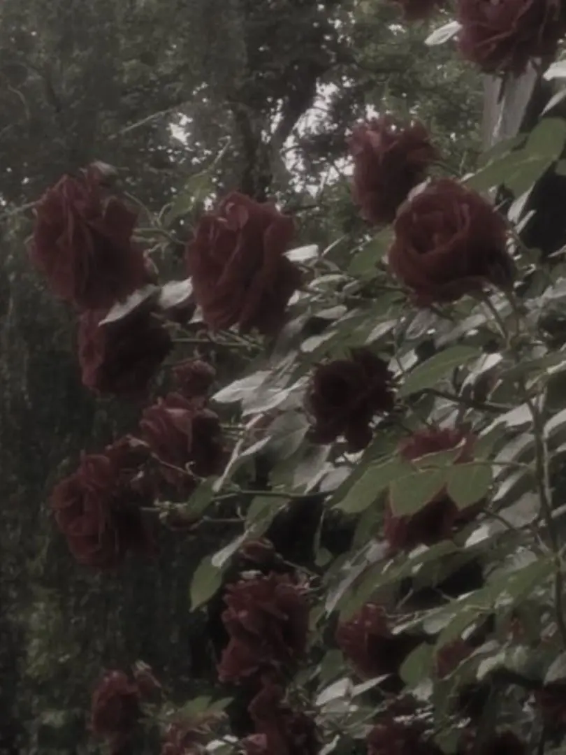 Citizenry247의 favorite🩸