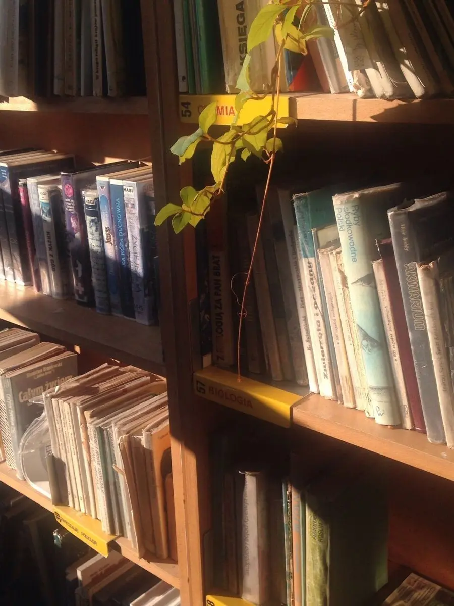 ditzyuni_의 A golden retriever boy meets a quiet soul